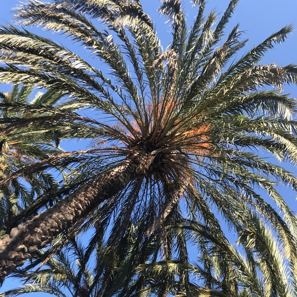 Meet your Posher, Eliana - Picture 1 of 1